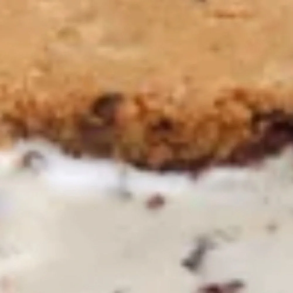 New Big Sandwich Cookie Silicon Mold